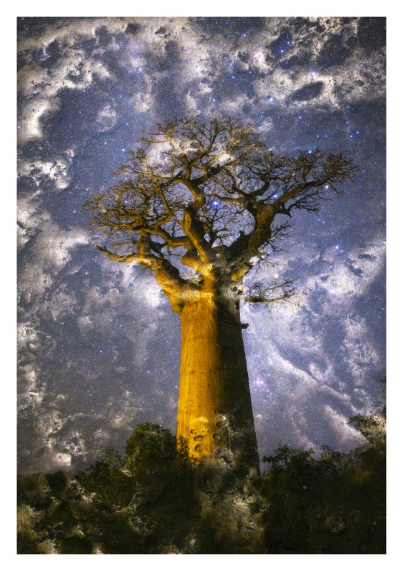 Baobabwelten 1 (AdobeRGB)